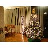 Rodney Gonzalez's Christmas tree from Lima, Per�