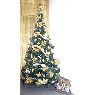 Sapin de Noël de Hernan Gainza (San Nicolás, Buenos Aires, Argentina)