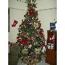 Karlimar's Christmas tree from Caracas, Venezuela