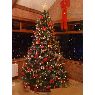 Weihnachtsbaum von Liam Donnelly (Northern Ireland)