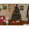 Maria Fernanda's Christmas tree from Maracay, Venezuela