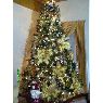 Familia Montes Vel�squez's Christmas tree from Cumanacoa, Edo.Sucre, Venezuela