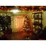 Rosa's Christmas tree from Honduras
