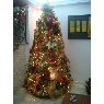 Sapin de Noël de Jose Rubio (Maracaibo, Venezuela)