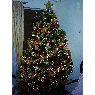 Weihnachtsbaum von Marlene Moyano (Chile)