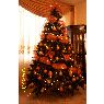 �rbol de Navidad de Belen Pardo Aguirre (Machala, Ecuador)