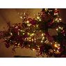 Karla San Lorenzo's Christmas tree from Toluca, Mexico