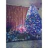 Weihnachtsbaum von Evelyn Janet   Ramos L�pez (Edo. de M�xico, M�xico)
