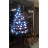 Veronica Galvan's Christmas tree from Campeche, Mexico