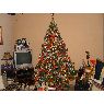 Sair Rebeca Ceballo's Christmas tree from San Antonio de los Altos, Venezuela