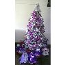Badiola Salgado's Christmas tree from El Hatillo, Venezuela