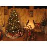 Teresa Edith's Christmas tree from Vi�a del Mar, Chile