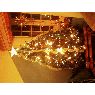 Alejandra Pamela Troncoso N��ez's Christmas tree from Santiago, Chile