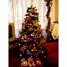 Esther Garcia's Christmas tree from Bilbao, Espa�a