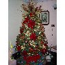 Dourllyn Camacho's Christmas tree from Coro, Falc�n, Venezuela