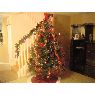 Weihnachtsbaum von Aldemar Rodr�guez (Deerfield Beach, Fl)