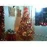 Sapin de No�l de Jorge Homsi (Venezuela)