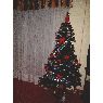 Virobla's Christmas tree from Cartagena, Espa�a