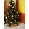 Paz's Christmas tree from Zaragoza, Espa�a