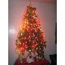 Fabiola Arredondo's Christmas tree from Vi�a del Mar ,Chile