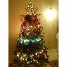 Gabriel's Christmas tree from Bolivar, Venezuela