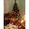 Ximena Gonzales Iva�es's Christmas tree from Salta, Argentina