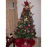 Marisela D�az's Christmas tree from Barcelona, Venezuela
