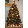 Sapin de No�l de Mairobet Hern�ndez (Macae, Brasil)