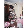 Mirtha H. Gonz�lez Aguirre's Christmas tree from Argentina