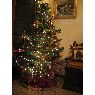 Justi y Gavi's Christmas tree from Caracas, Venezuela