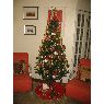 Maria Estela's Christmas tree from S�o Paulo, Brasil
