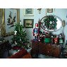 Robert Donnelly's Christmas tree from Hemet, California, USA