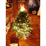 Carlos P�rez's Christmas tree from Panam�