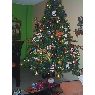 Nelly Cecilia Herrera P's Christmas tree from Yopal Casanare, Colombia