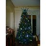 Sapin de No�l de Marina (Messina)