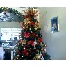Weihnachtsbaum von Familia Medina (San Felix, Bolivar, Venezuela)