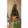Ingrida Zakaraitė's Christmas tree from Siauliai, Lithuania