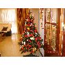 Puri Montes's Christmas tree from Sevilla, Espa�a