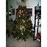 Weihnachtsbaum von T�bata Zerpa (San Crist�bal - Edo. T�chira. Venezuela)