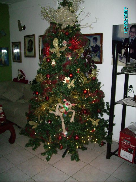 T�bata Zerpa (San Crist�bal - Edo. T�chira. Venezuela)