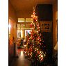 Silvanita Bel�n-Teglia's Christmas tree from Barrancas, Argentina