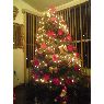 Ruth Toscano's Christmas tree from Tijuana, Baja California, M�xico