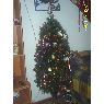 Paula's Christmas tree from Antofagasta, Chile