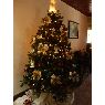 Sapin de No�l de Marlyn Cruz (San Jose, Costa Rica)