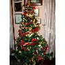 Yolanda Roa's Christmas tree from Guadalajara