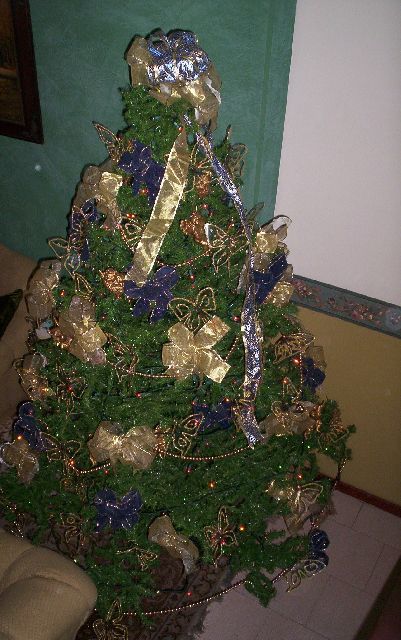 Jos� (Cali, Colombia)