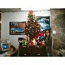 Mayela Flores's Christmas tree from Monterrey Mexico