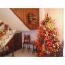 Weihnachtsbaum von Familia M�jica D. (Estado Lara, Venezuela)