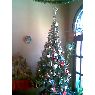 Mar�a Luisa Kersevan's Christmas tree from Buenos Aires, Argentina