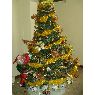 Jes�s Eduardo Pi�a's Christmas tree from M�rida, Venezuela